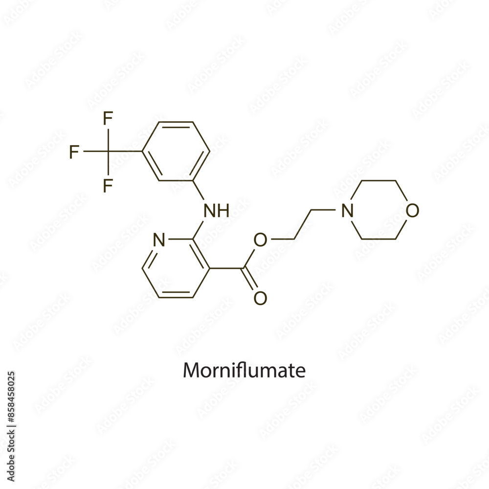 Morniflumate flat skeletal molecular structure NSAID drug used in Pain treatment. Vector illustration scientific diagram. Morniflumate flat skeletal molecular structure NSAID drug used in Pain treatment. Vector illustration scientific diagram.