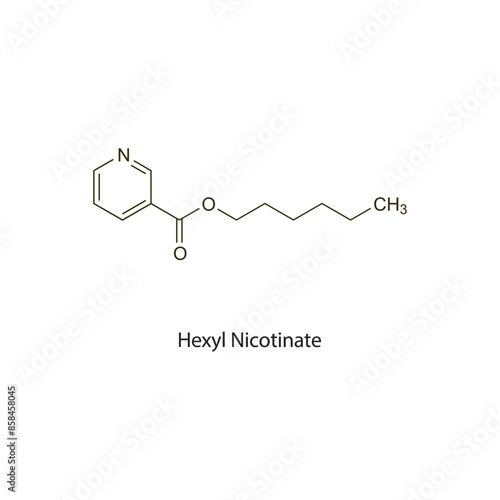 Hexyl Nicotinate flat skeletal molecular structure Rubefacient agent drug used in pain treatment. Vector illustration scientific diagram.