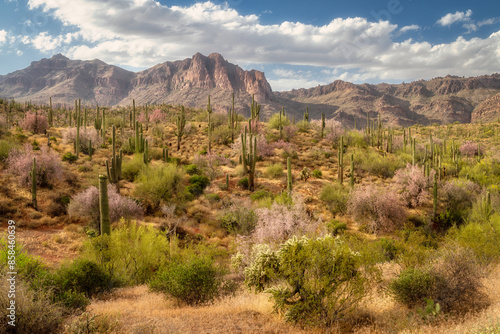 View of Peralta Regional Park