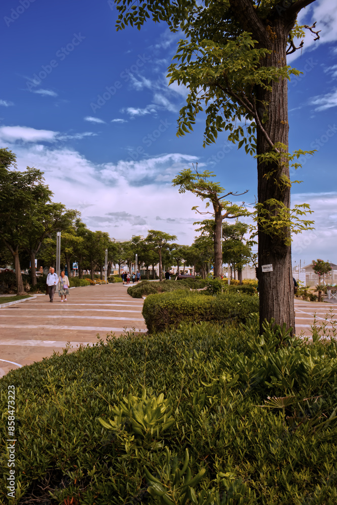 Fototapeta premium The Riccione walk.