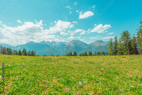 Beautiful Free Green Pasture Field in a Mountain Alps Landscape during Summer