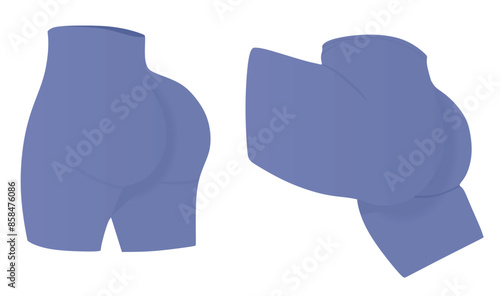 Female waist shorts. vector illustration