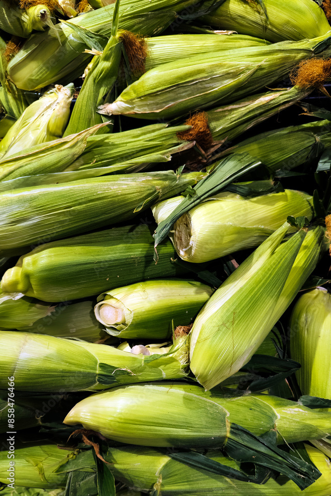 Fresh corn on the cob on display at a supermarket Fresh corn on the cob on display at a supermarket