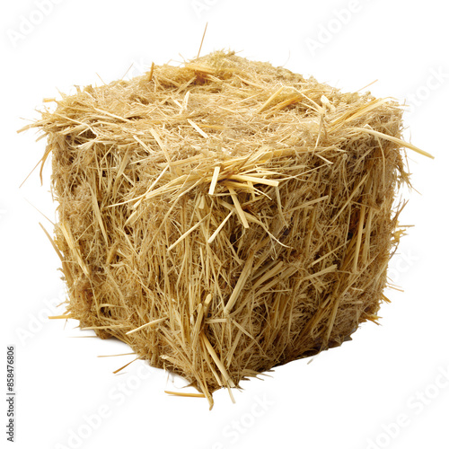 Haystack on Transparent Background