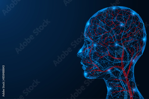 Veins and arteries of the human head. Polygonal design of interconnected lines and dots. Blue background.