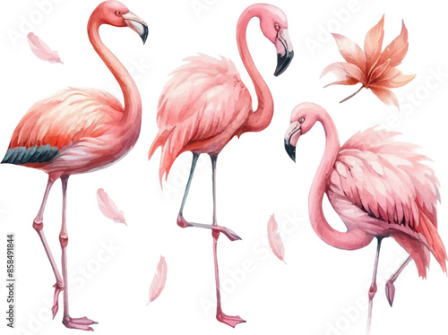 set with pink flamingos in watercolor style