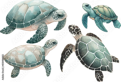 set with four turtles in watercolor style