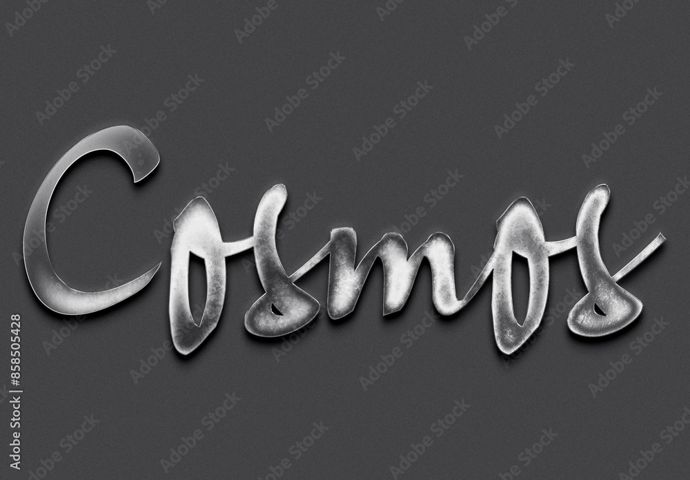 Chrome metal 3D flower name design of Cosmos on grey background. Chrome metal 3D flower name design of Cosmos on grey background.