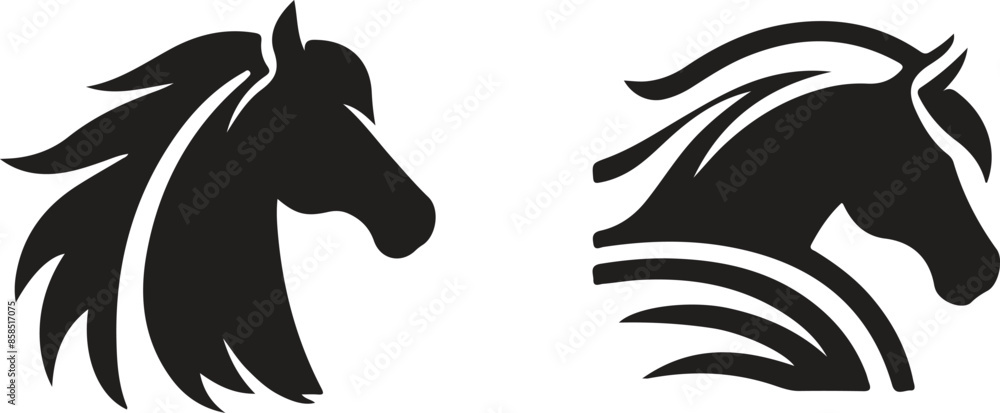 Obraz premium silhouette of a girl with a horse
