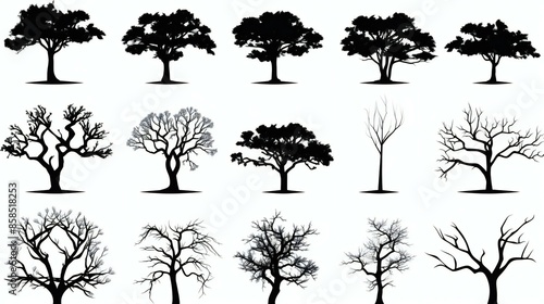 set of black Silhouette illustration of different tree