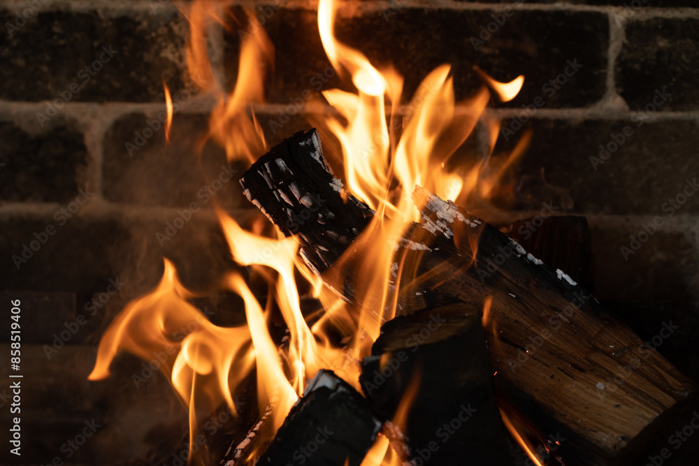 Burning logs in the fireplace