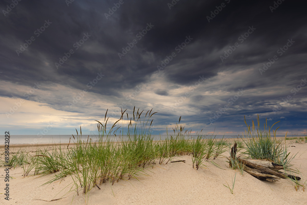 Fototapeta premium Linia brzegowa nad morzem, krajobraz morski, tapeta, wakacje i wypoczynek w burzowy dzień, pochmurne niebo i chmury, Morze Bałtyckie i piaszczysta plaża