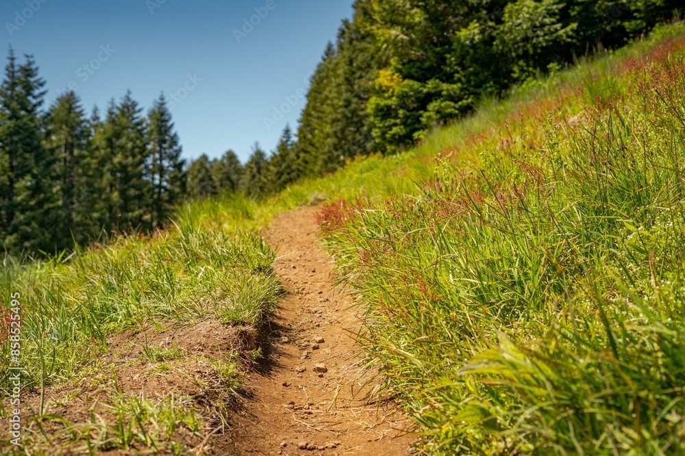 Obraz premium Rural mountain path