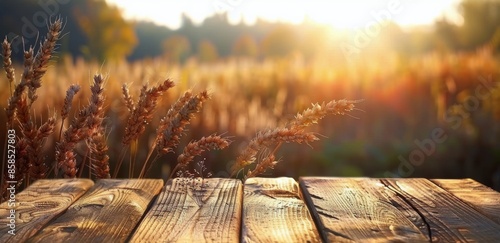 Wooden Tabletop In A Field At Sunset
