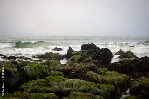 rocks and sea