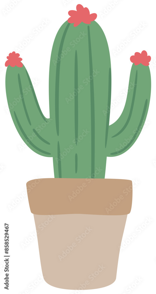 Cactus | Potted Flowering Cacti | Vector House Plant | Succulent Illustration | Desert Shrub Cactus | Potted Flowering Cacti | Vector House Plant | Succulent Illustration | Desert Shrub