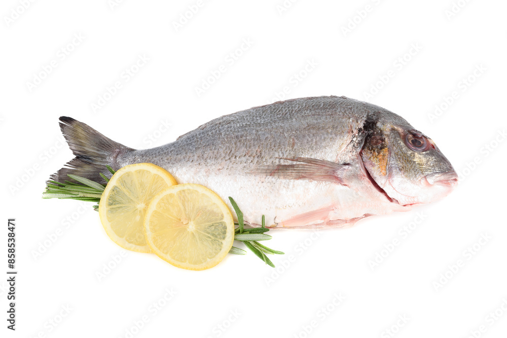 Ready to cook cleaned dorado fish with lemon slices and rosemary on a white background. Ready to cook cleaned dorado fish with lemon slices and rosemary on a white background.