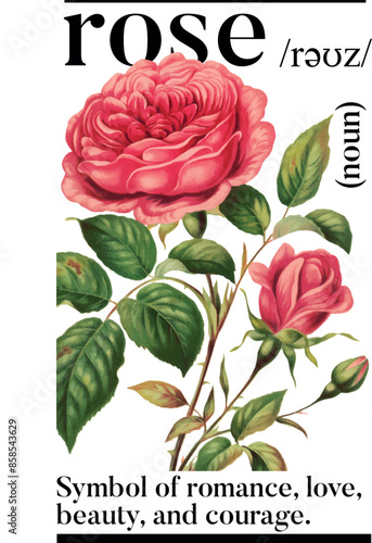 aesthetic rose definition literature vector design