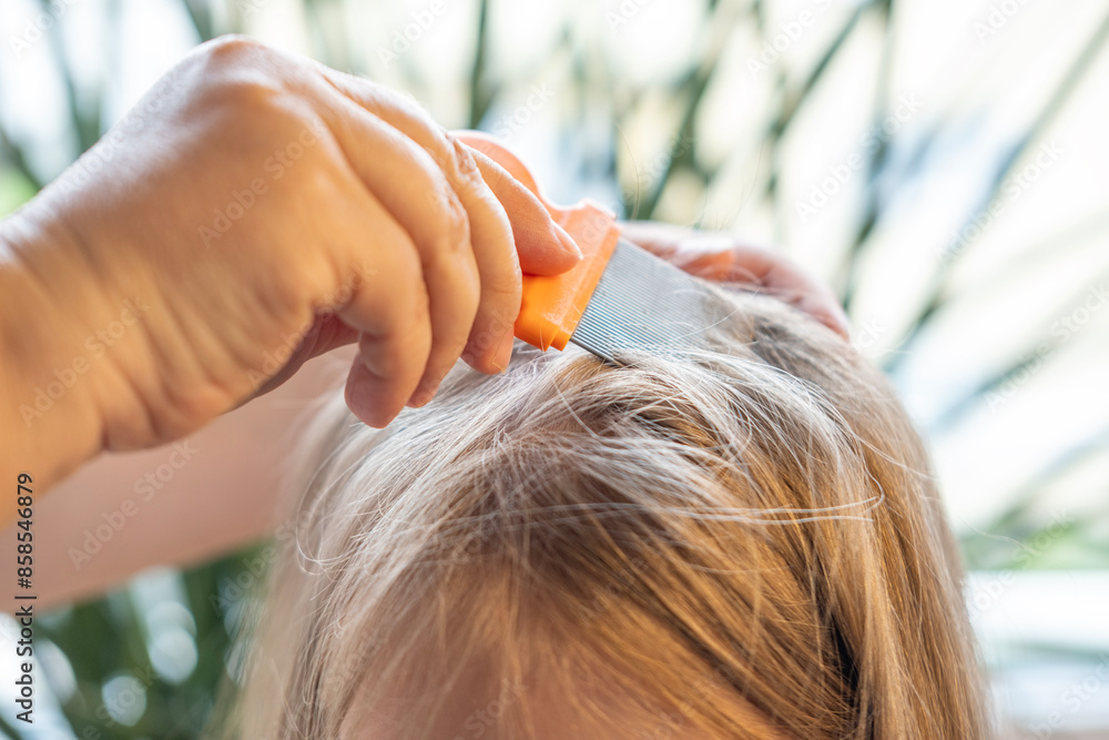 Fototapeta premium Close-up child's head with female hands searching for lice and nits in hair, mother's fingers, combing with orange comb for removal, Pediculosis infestation, Medical Examination
