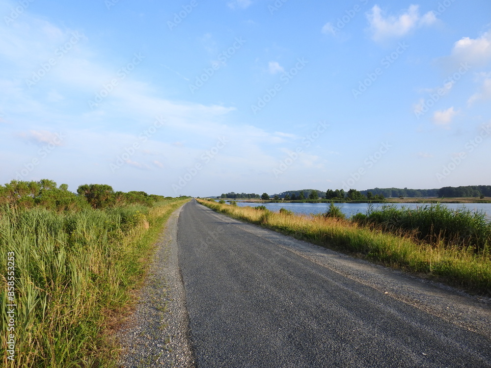 The scenic beauty along the wildlife drive within the Bombay Hook National Wildlife Refuge, during the summer season, Kent County, Delaware. The scenic beauty along the wildlife drive within the Bombay Hook National Wildlife Refuge, during the summer season, Kent County, Delaware.