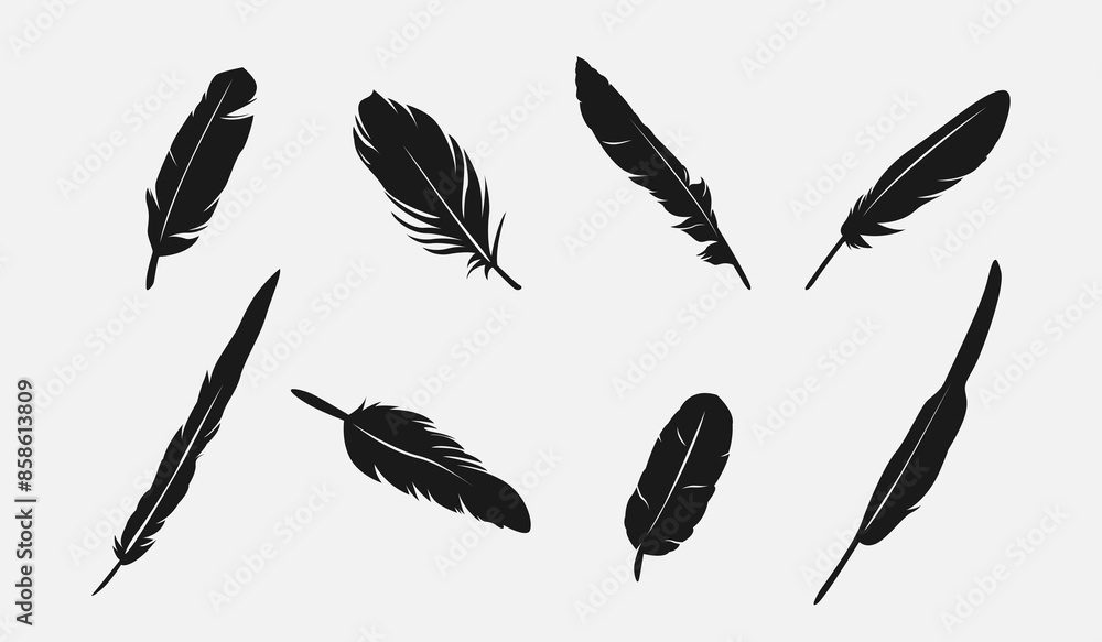 Set silhouette of feathers. Isolated on white background. Vector illustration. Set silhouette of feathers. Isolated on white background. Vector illustration.