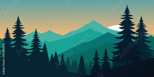 evergreen trees