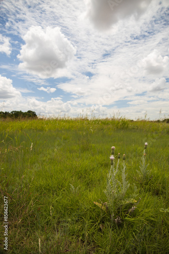 Washita Battlefield National Historic Site, Oklahoma
 photo