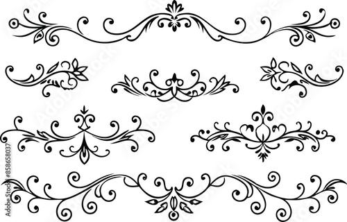 decoration design illustration border frame floral vector divider flourish ornament ornate vintage flower element swirl text wedding decorative
