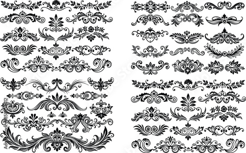 decoration design illustration border frame floral vector divider flourish ornament ornate vintage flower element swirl text wedding decorative set line doodle invitation