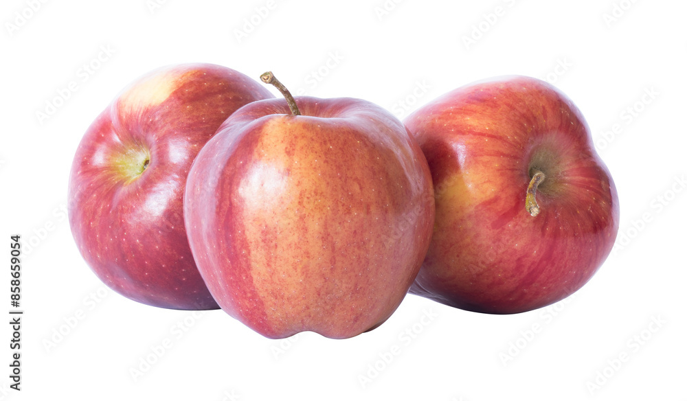 red apple is continuously isolated on white red apple is continuously isolated on white