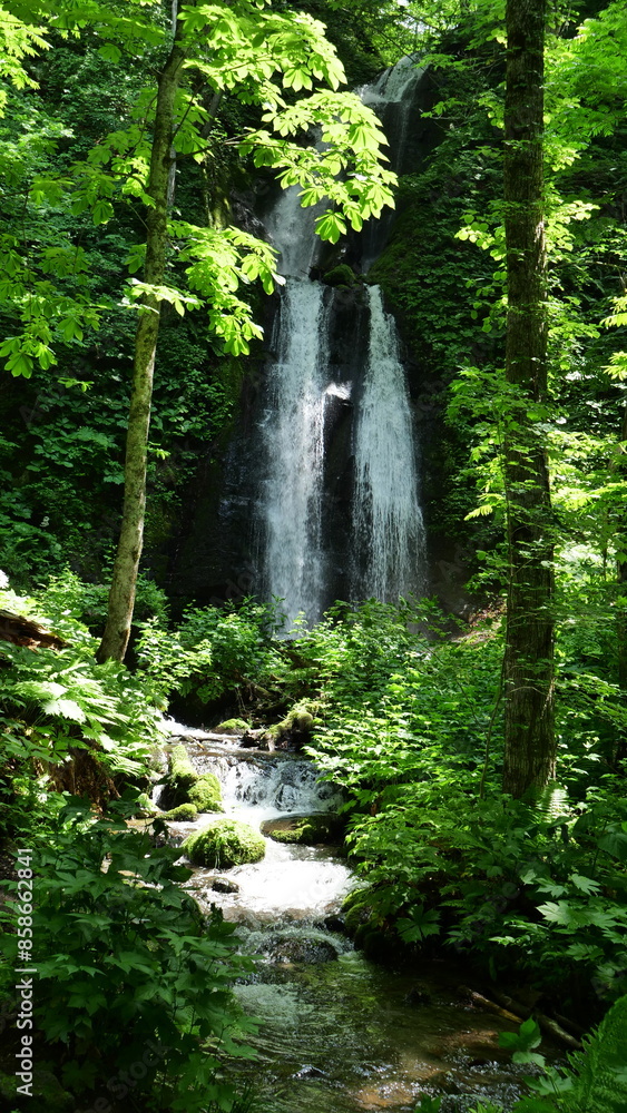 A waterfall in the forest. Oirase Stream. A waterfall in the forest. Oirase Stream.