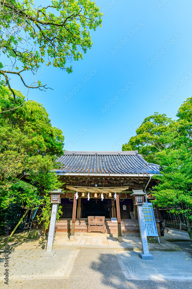 初夏の日吉神社 福岡県柳川市 Hiyoshi Shrine in early summer. Fukuoka Pref, Yanagawa City. 初夏の日吉神社 福岡県柳川市 Hiyoshi Shrine in early summer. Fukuoka Pref, Yanagawa City.