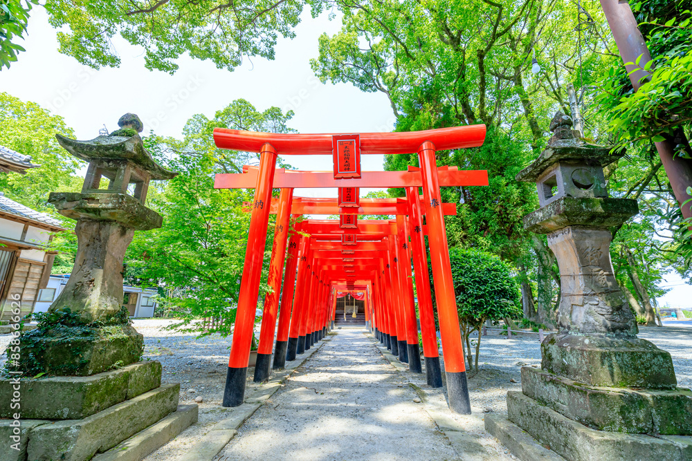 初夏の太郎稲荷大明神 三柱神社 福岡県柳川市 Taro Inari Daimyojin Shrine in early summer. Mihashira Shrine. Fukuoka Pref, Yanagawa City. 初夏の太郎稲荷大明神 三柱神社 福岡県柳川市 Taro Inari Daimyojin Shrine in early summer. Mihashira Shrine. Fukuoka Pref, Yanagawa City.