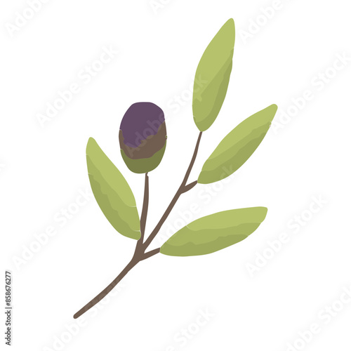 Palestine olive element