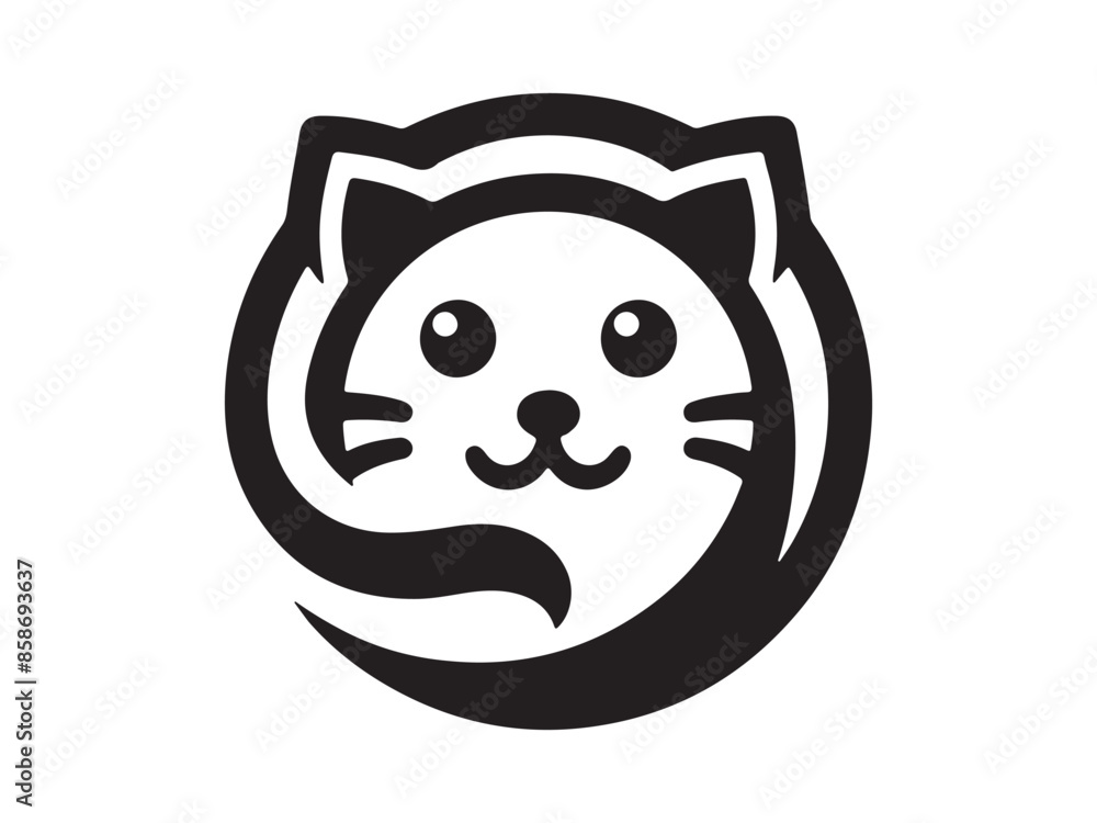 black and white cat black and white cat