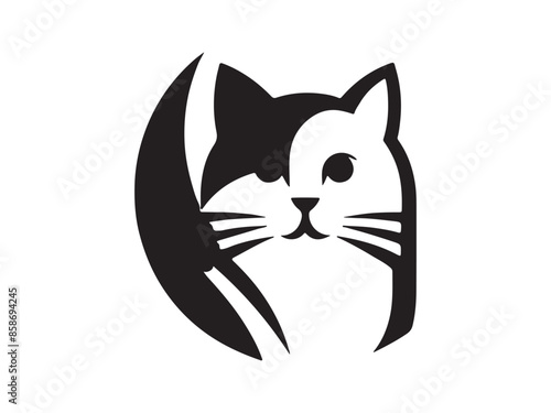 image of a cat