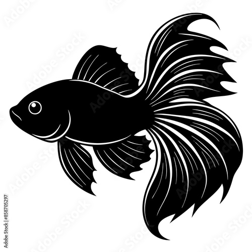 betta bass Fish  vector silhouette illustration