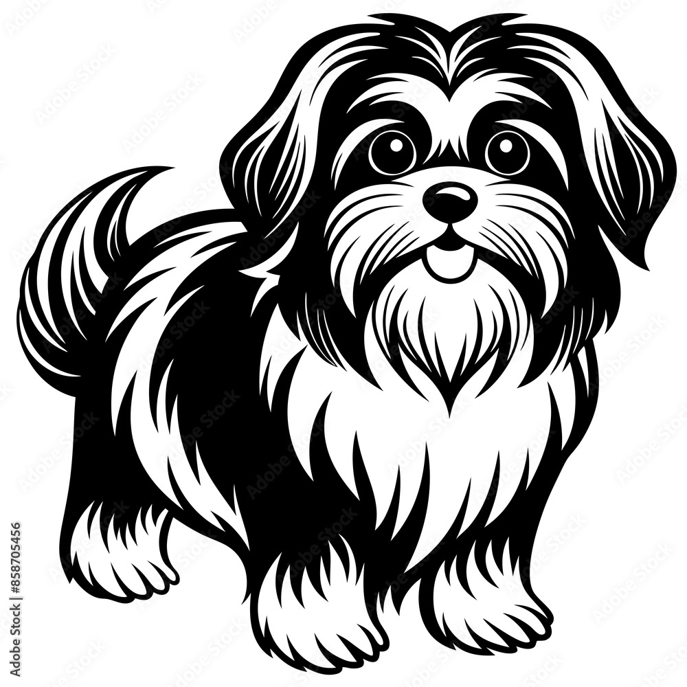 Shih Tzu vector silhouette illustration Shih Tzu vector silhouette illustration