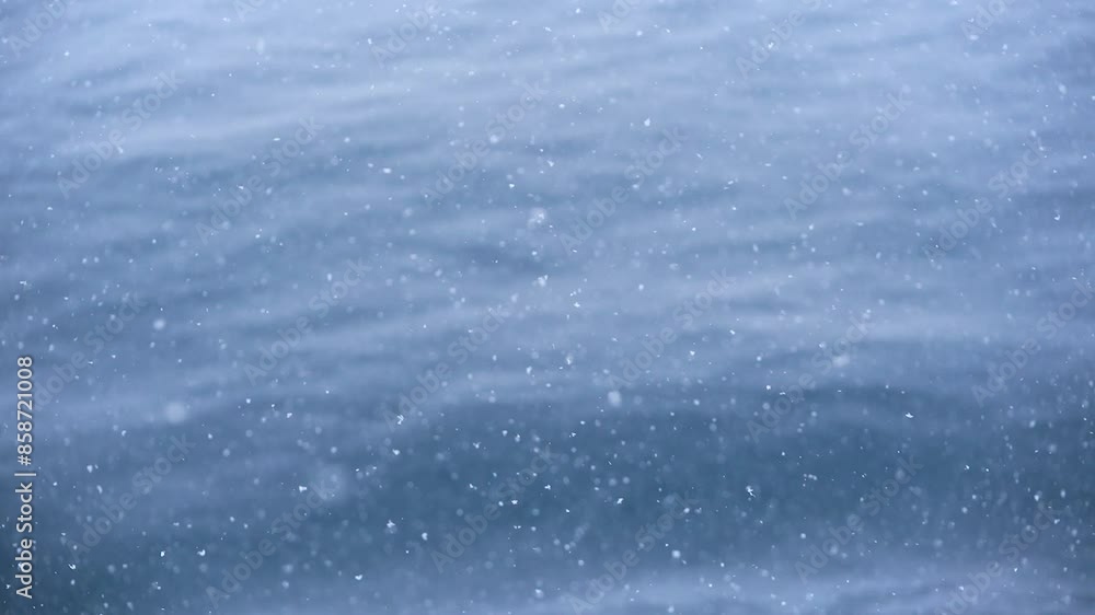 Nature Abstract Close Up Snow Falling on Ocean Shallow Depth of Field Focus Antarctica Southern Ocean South Pole Nature Abstract Close Up Snow Falling on Ocean Shallow Depth of Field Focus Antarctica Southern Ocean South Pole