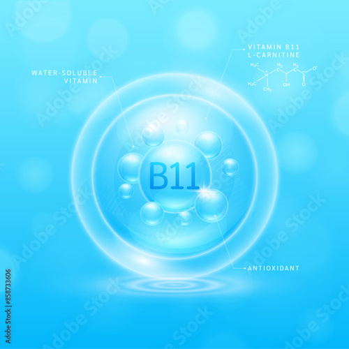 Vitamin B11 solution blue and chemical structure of L carnitine. Water soluble vitamins. Collagen serum hyaluronic acid with antioxidants for brighter skin. Cosmetic beauty nutrition. Vector.