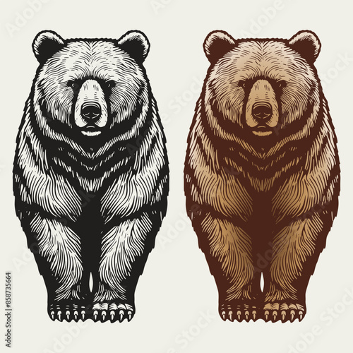 Hand drawn bear in a minimal linocut style.