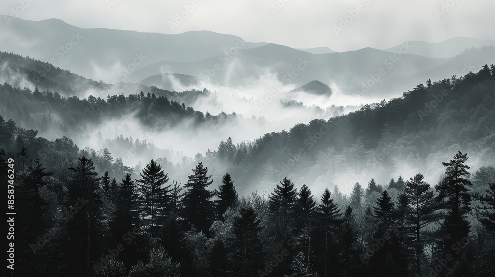 Fototapeta premium Foggy forest, layered mountains in the distance, dense mist creating a mysterious ambiance, black and white tranquil scene