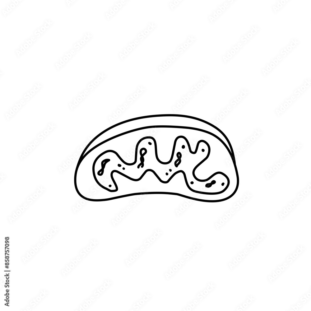 mitochondria cell icon mitochondria cell icon
