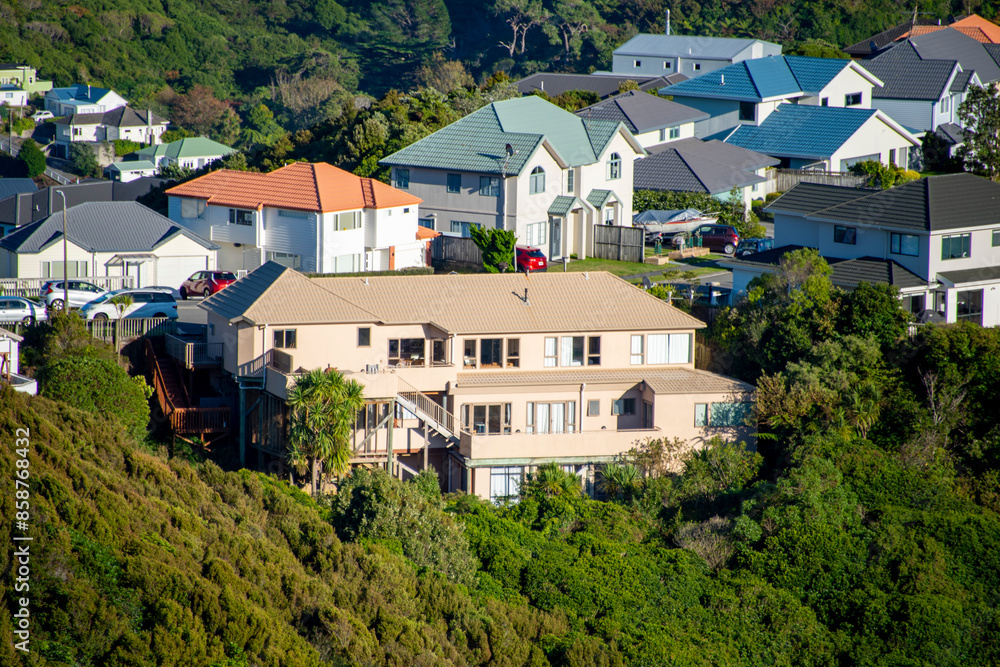 Obraz premium Residential Houses in Wellington - New Zealand