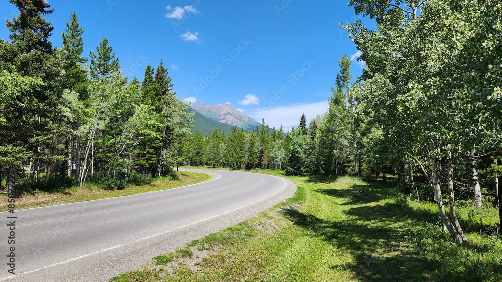 Naklejka premium road in the mountains