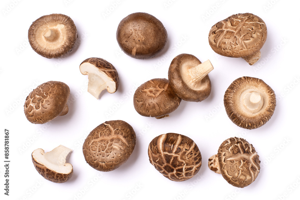 Fresh Shiitake mushroom isolated on white background, top view, flat lay. Fresh Shiitake mushroom isolated on white background, top view, flat lay.