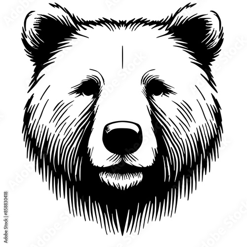 Silhouette sketch of a bear's head