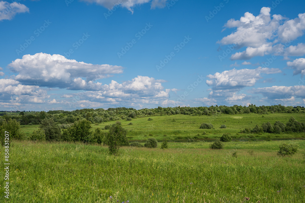Air sunny summer landscape with large meadow, far forest under blue sky with white clouds. Natural summer background. Air sunny summer landscape with large meadow, far forest under blue sky with white clouds. Natural summer background.