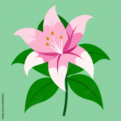 vector illustration of lily