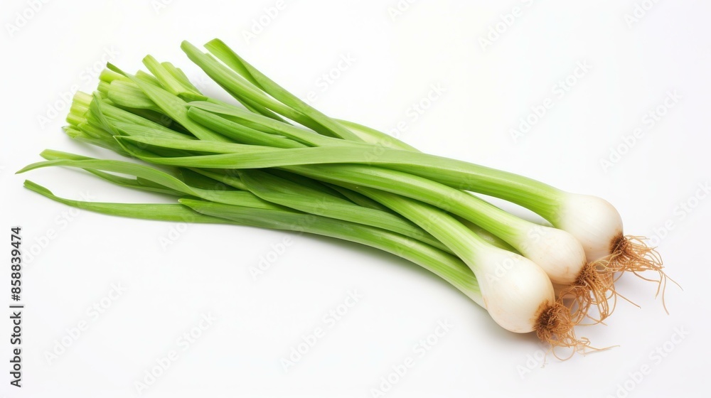 A top view photo of fresh green onions on a white background. A top view photo of fresh green onions on a white background.